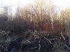 Клуб Ниссан Террано | Форум Terrano-Club.Ru | Фото: IMG_20240411_182139_resize_59.jpg