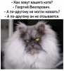Клуб Ниссан Террано | Форум Terrano-Club.Ru | Фото: 8.png