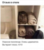 Клуб Ниссан Террано | Форум Terrano-Club.Ru | Фото: 5.png