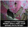 Клуб Ниссан Террано | Форум Terrano-Club.Ru | Фото: 6.png