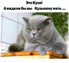 Клуб Ниссан Террано | Форум Terrano-Club.Ru | Фото: 1.png
