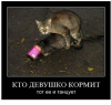 Клуб Ниссан Террано | Форум Terrano-Club.Ru | Фото: 7.png