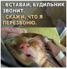 Клуб Ниссан Террано | Форум Terrano-Club.Ru | Фото: 7.png