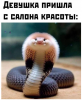 Клуб Ниссан Террано | Форум Terrano-Club.Ru | Фото: 3.png