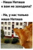 Клуб Ниссан Террано | Форум Terrano-Club.Ru | Фото: 6.png