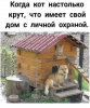 Клуб Ниссан Террано | Форум Terrano-Club.Ru | Фото: 3.png