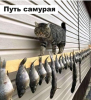 Клуб Ниссан Террано | Форум Terrano-Club.Ru | Фото: 3.png