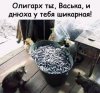 Клуб Ниссан Террано | Форум Terrano-Club.Ru | Фото: 19305770.jpg
