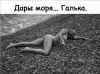 Клуб Ниссан Террано | Форум Terrano-Club.Ru | Фото: 5.png