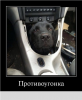 Клуб Ниссан Террано | Форум Terrano-Club.Ru | Фото: 1.png