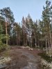 Клуб Ниссан Террано | Форум Terrano-Club.Ru | Фото: IMG_20240805_215137_resize_36.jpg