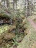 Клуб Ниссан Террано | Форум Terrano-Club.Ru | Фото: IMG_20240809_131820_resize_15.jpg