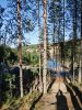 Клуб Ниссан Террано | Форум Terrano-Club.Ru | Фото: IMG_20240809_165344_resize_22.jpg