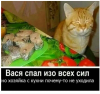 Клуб Ниссан Террано | Форум Terrano-Club.Ru | Фото: 4.png