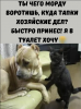 Клуб Ниссан Террано | Форум Terrano-Club.Ru | Фото: 3.png