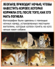 Клуб Ниссан Террано | Форум Terrano-Club.Ru | Фото: 0.png