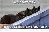 Клуб Ниссан Террано | Форум Terrano-Club.Ru | Фото: 3.png
