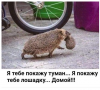 Клуб Ниссан Террано | Форум Terrano-Club.Ru | Фото: 4.png