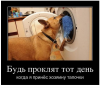 Клуб Ниссан Террано | Форум Terrano-Club.Ru | Фото: 1.png