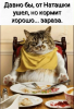 Клуб Ниссан Террано | Форум Terrano-Club.Ru | Фото: 1.png