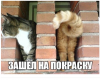 Клуб Ниссан Террано | Форум Terrano-Club.Ru | Фото: 2.png