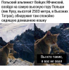 Клуб Ниссан Террано | Форум Terrano-Club.Ru | Фото: 2.png