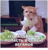 Клуб Ниссан Террано | Форум Terrano-Club.Ru | Фото: 6.png