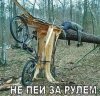 Клуб Ниссан Террано | Форум Terrano-Club.Ru | Фото: IMG-20241027-WA0018.jpg