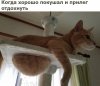 Клуб Ниссан Террано | Форум Terrano-Club.Ru | Фото: 2.jpg