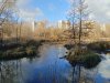 Клуб Ниссан Террано | Форум Terrano-Club.Ru | Фото: IMG_20241110_111845_resize_72.jpg