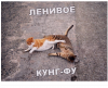 Клуб Ниссан Террано | Форум Terrano-Club.Ru | Фото: 1.png