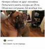 Клуб Ниссан Террано | Форум Terrano-Club.Ru | Фото: 1.png