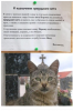 Клуб Ниссан Террано | Форум Terrano-Club.Ru | Фото: 77.png