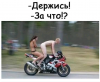 Клуб Ниссан Террано | Форум Terrano-Club.Ru | Фото: 4.png