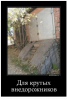 Клуб Ниссан Террано | Форум Terrano-Club.Ru | Фото: 9.png