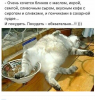 Клуб Ниссан Террано | Форум Terrano-Club.Ru | Фото: 6.png