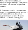 Клуб Ниссан Террано | Форум Terrano-Club.Ru | Фото: 0.png