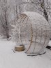 Клуб Ниссан Террано | Форум Terrano-Club.Ru | Фото: IMG_20241231_110758_resize_22.jpg