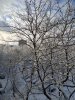 Клуб Ниссан Террано | Форум Terrano-Club.Ru | Фото: IMG_20241231_140333_resize_7.jpg