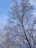 Клуб Ниссан Террано | Форум Terrano-Club.Ru | Фото: IMG_20241231_140414_resize_4.jpg