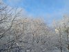 Клуб Ниссан Террано | Форум Terrano-Club.Ru | Фото: IMG_20241231_140326_resize_16.jpg