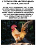 Клуб Ниссан Террано | Форум Terrano-Club.Ru | Фото: 0.png