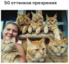 Клуб Ниссан Террано | Форум Terrano-Club.Ru | Фото: 4.png