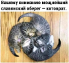 Клуб Ниссан Террано | Форум Terrano-Club.Ru | Фото: 7.png
