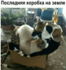 Клуб Ниссан Террано | Форум Terrano-Club.Ru | Фото: 11.png