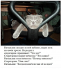 Клуб Ниссан Террано | Форум Terrano-Club.Ru | Фото: 3.png