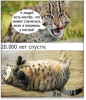 Клуб Ниссан Террано | Форум Terrano-Club.Ru | Фото: 3.png