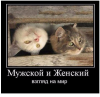 Клуб Ниссан Террано | Форум Terrano-Club.Ru | Фото: 2.png