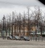 Клуб Ниссан Террано | Форум Terrano-Club.Ru | Фото: IMG_20250404_134038.jpg