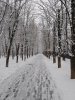 Клуб Ниссан Террано | Форум Terrano-Club.Ru | Фото: IMG_20250408_184527_resize_83.jpg